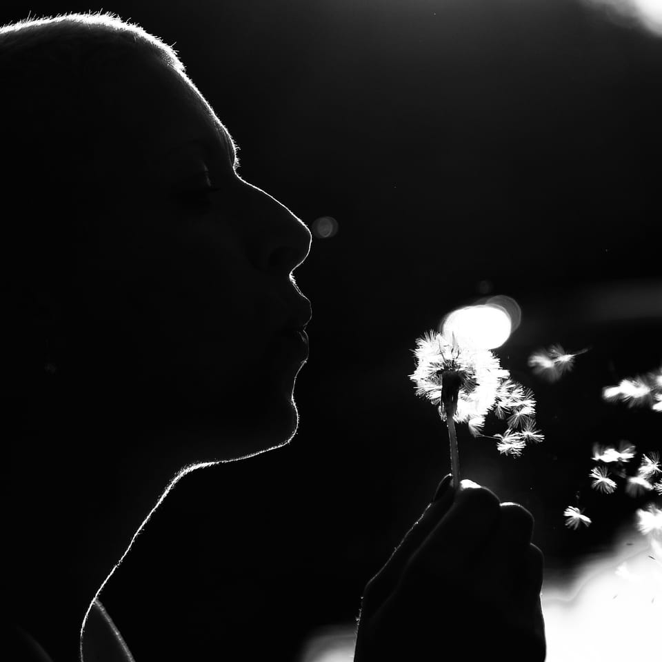 A silhouetted profile blowing a dandelion, the seeds drifting into blurred lights