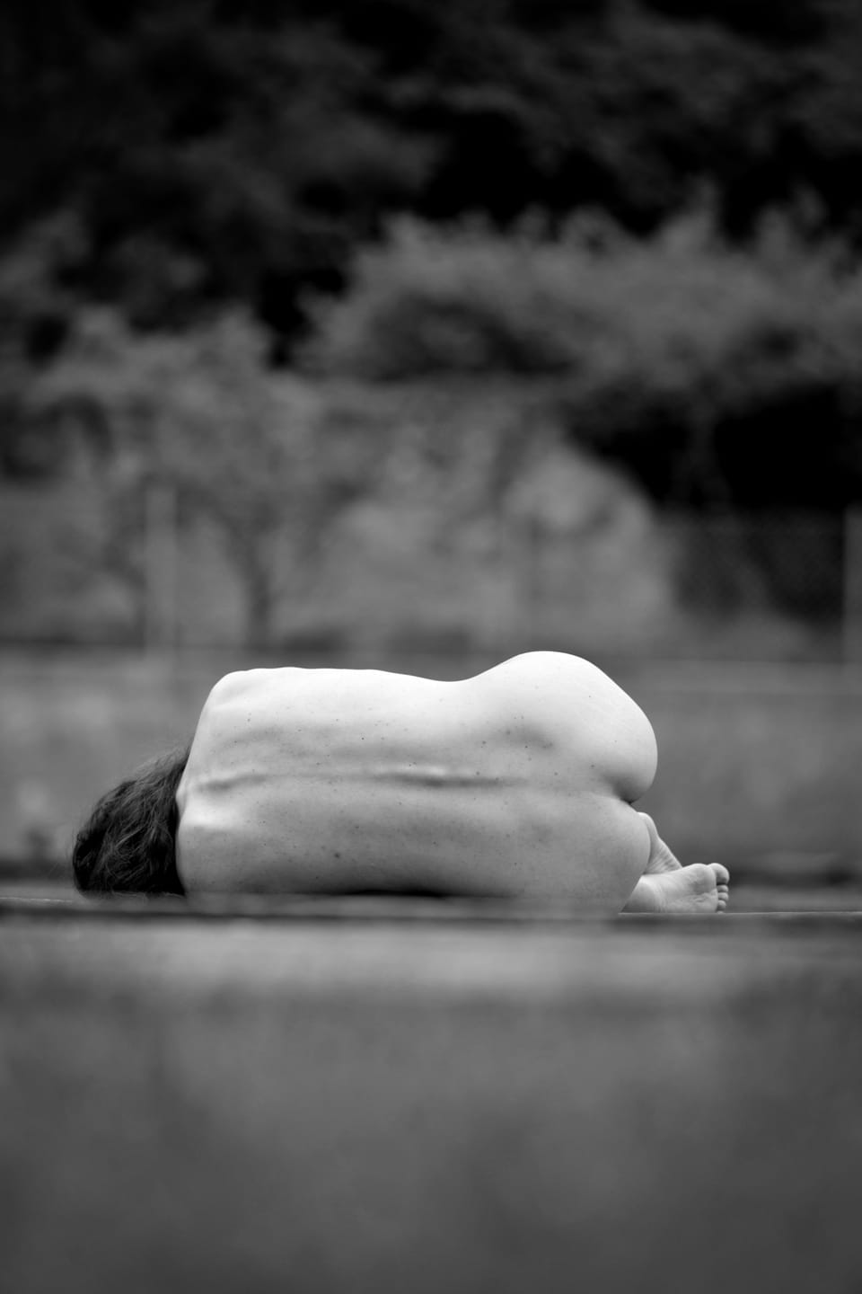 A curled body on a low board above water, soft light turning it into a pure form