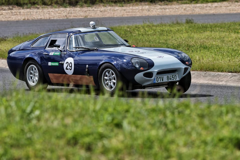 A blue racing coupé, number 29, on a grass-lined circuit